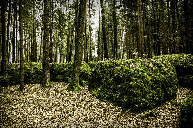 — © Flickr Druidenhain Wohlmannsgesees Markus Spiske CC BY 2.0 Bestimmte Rechte vorbehalten