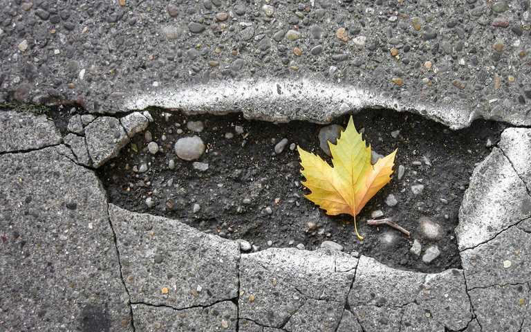 — © Foto: unsplash.com