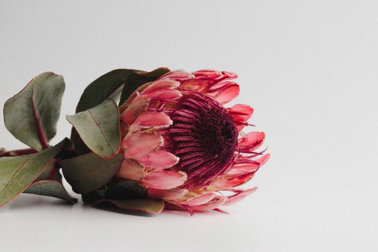 — © Foto: unsplash.com