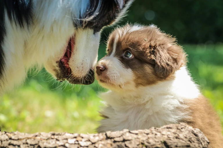 — © Foto: unsplash.com