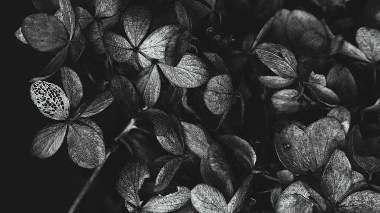 — © Bildquelle: Mylene2401 / Pixabay.com