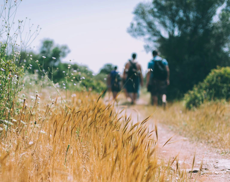  — © Unsplash.com