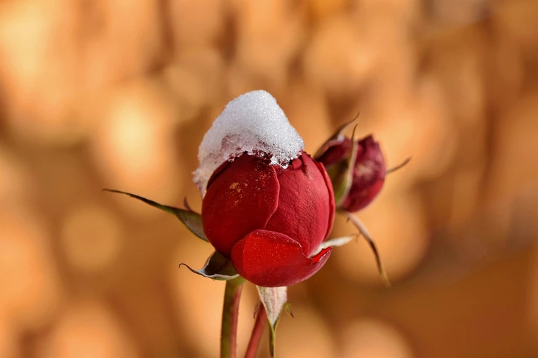 — © Bild: pixabay.com